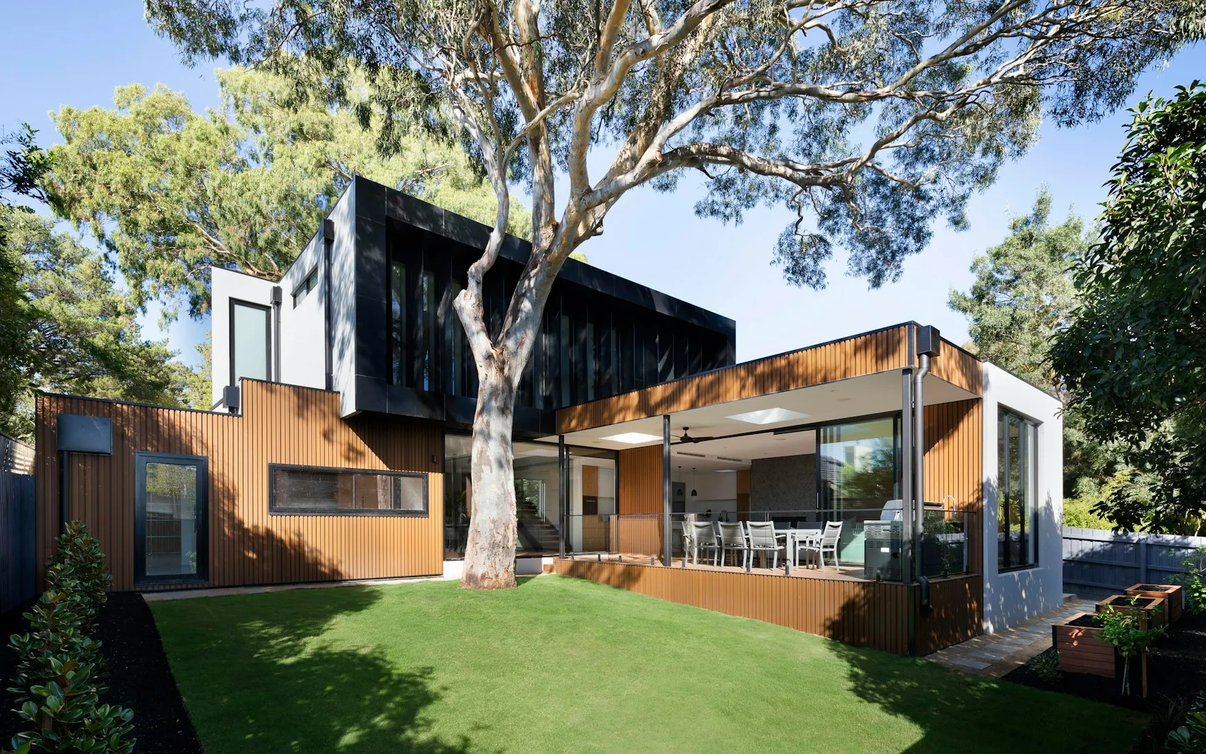 Jardin avec pelouse, arbre mature et maison contemporaine en fond