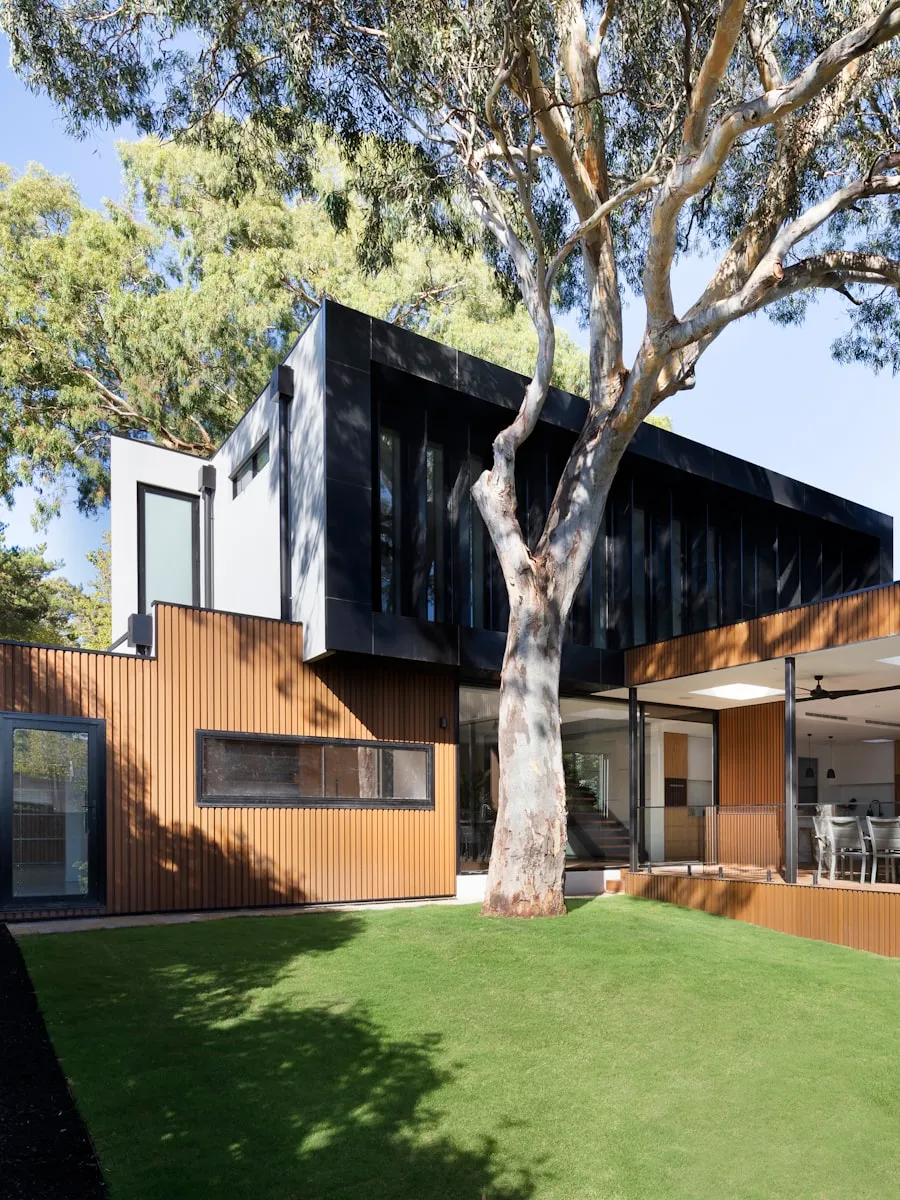 Jardin avec pelouse, arbre mature et maison contemporaine en fond